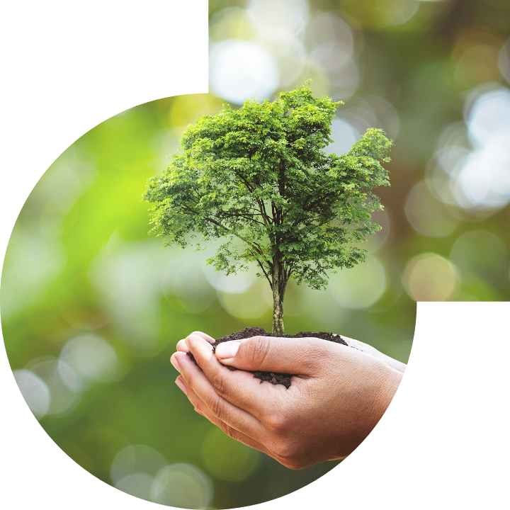 关怀人类、文化、环境与社会